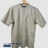 sage-green-abstrak
